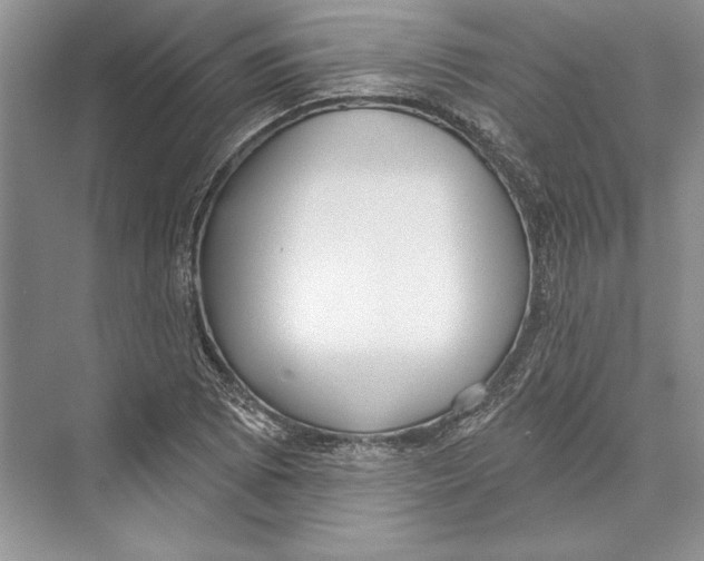 X0000072511073200608111648