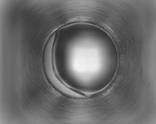 X0000072511081200608111648
