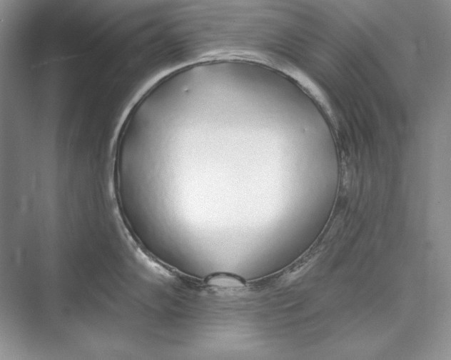 X0000072511102200608111647