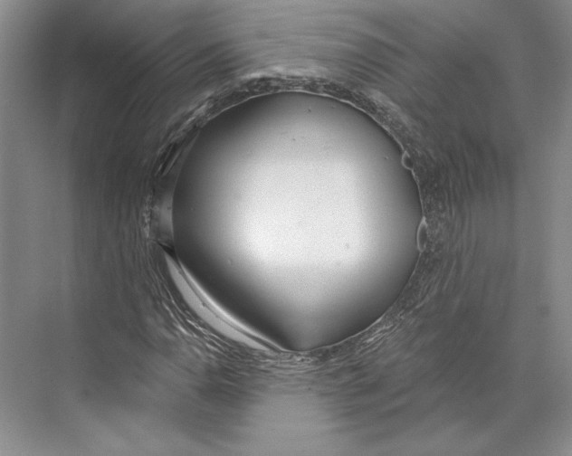X0000072511110200608111647
