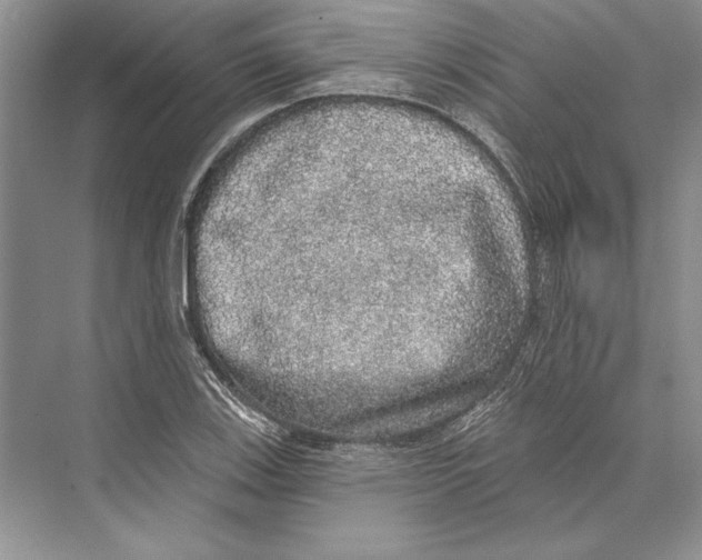 X0000072511123200608111647
