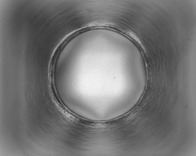 X0000072511124200608111647