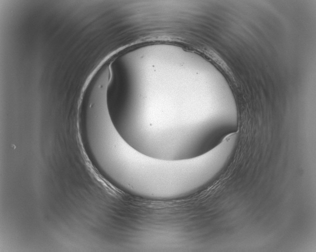 X0000072511132200608111647