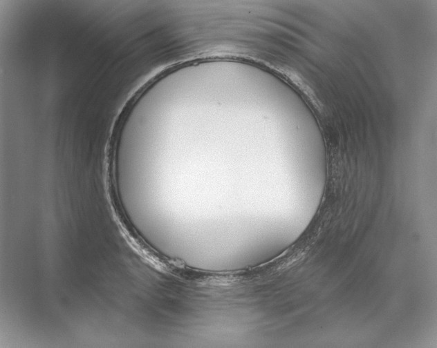 X0000072511134200608111647