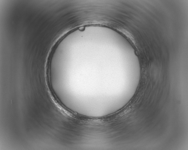 X0000072511135200608111647