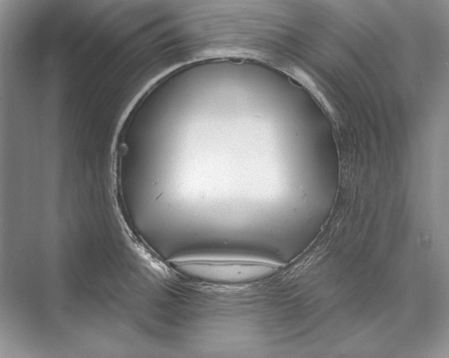 X0000072511140200608111647