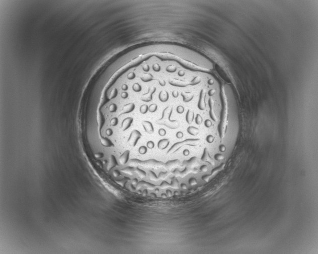 X0000072511141200608111647