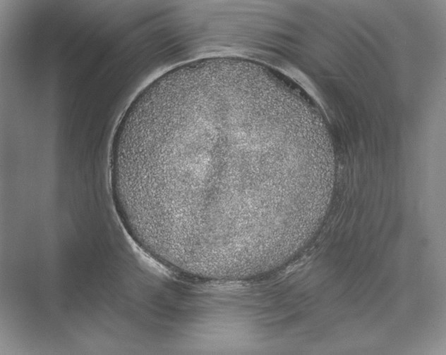 X0000072511143200608111647