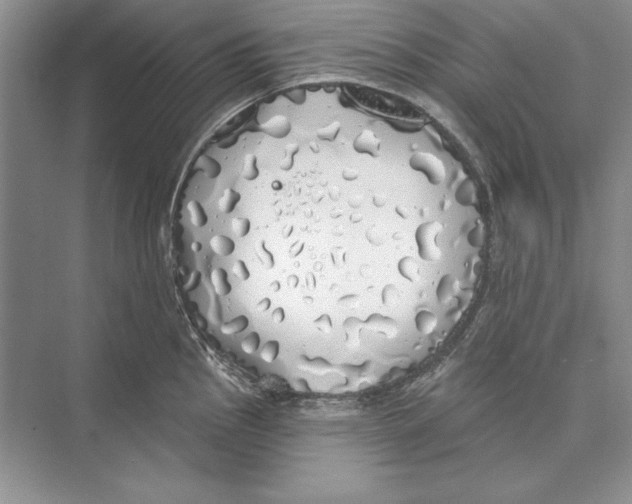 X0000072511145200608111647