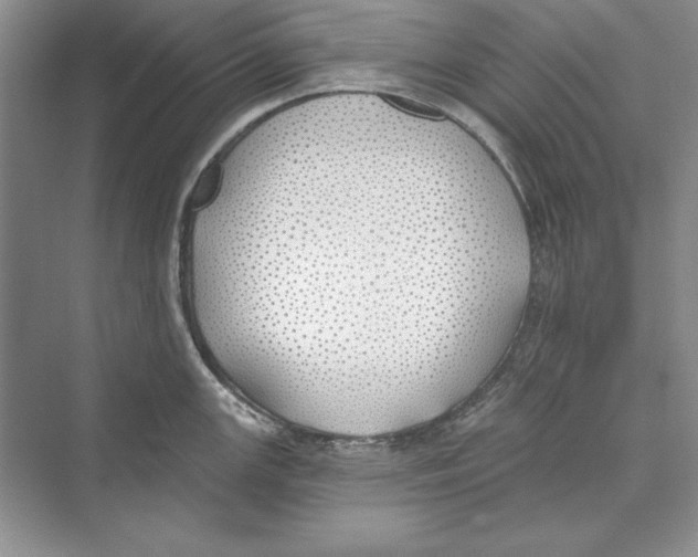 X0000072511147200608111647
