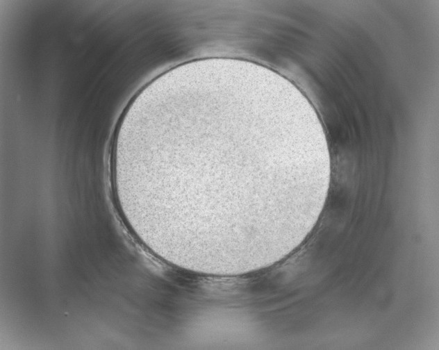 X0000072511150200608111647