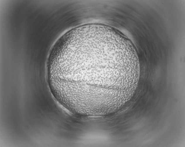 X0000072511151200608111647