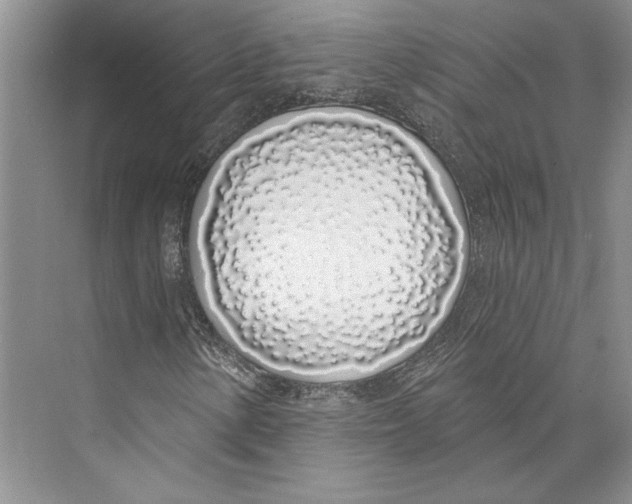 X0000072511154200608111647