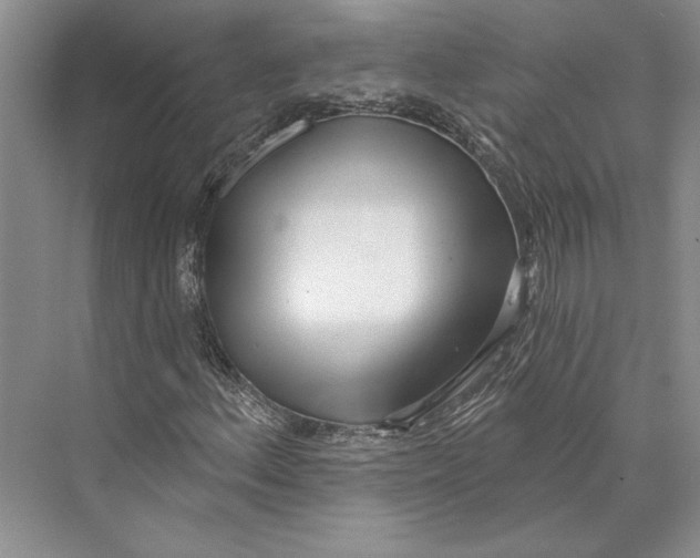X0000072511156200608111647