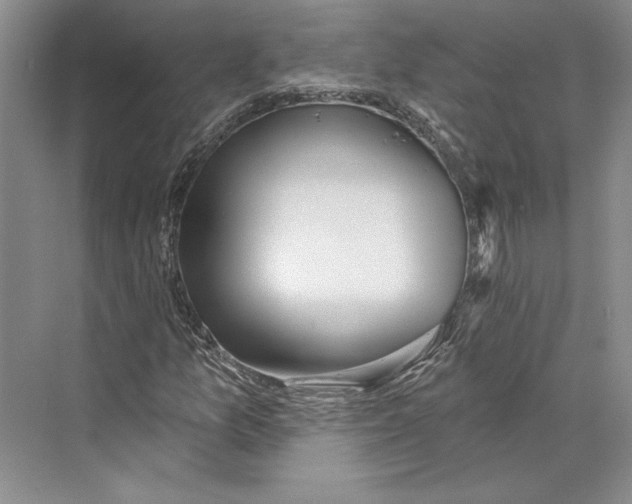 X0000072511157200608111647