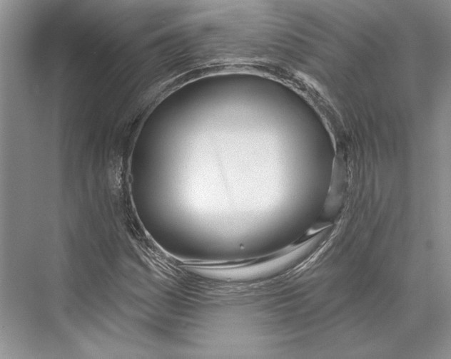 X0000072511161200608111646