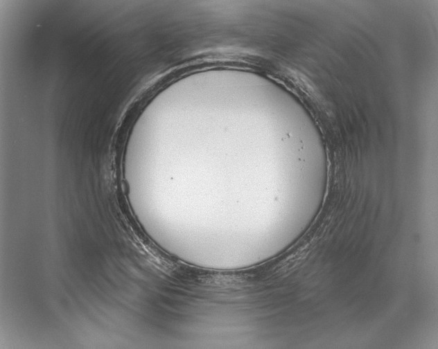 X0000072511164200608111646