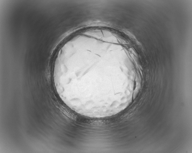 X0000072511167200608111646