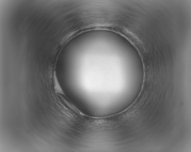 X0000072511169200608111646