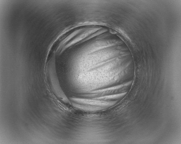 X0000072511173200608111646