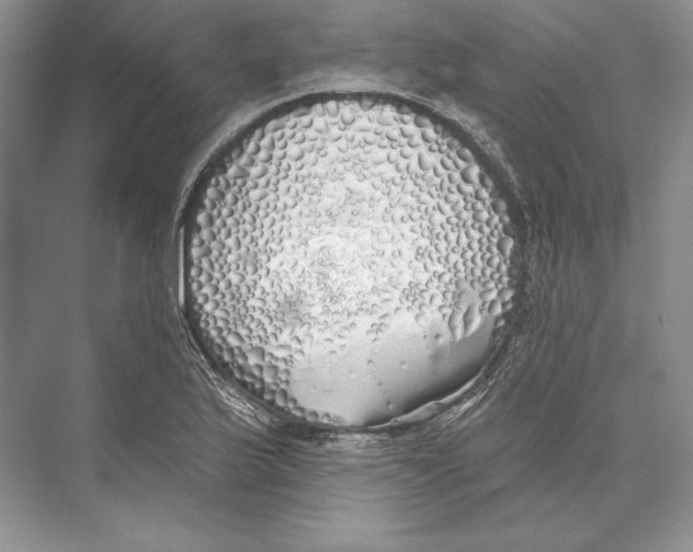 X0000072511175200608111646
