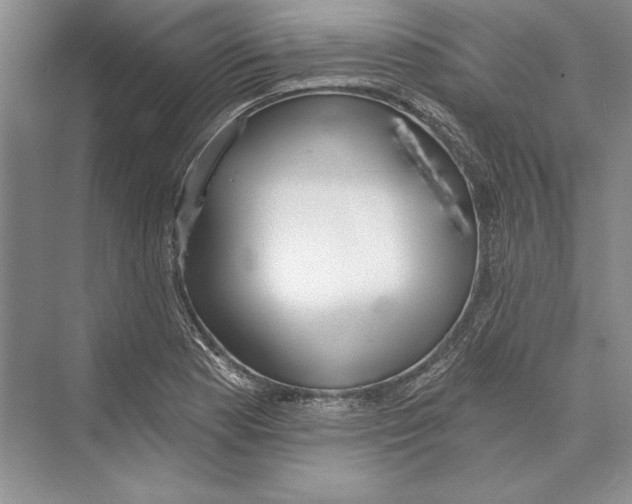 X0000072511177200608111646