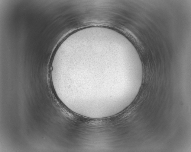 X0000072511182200608111646