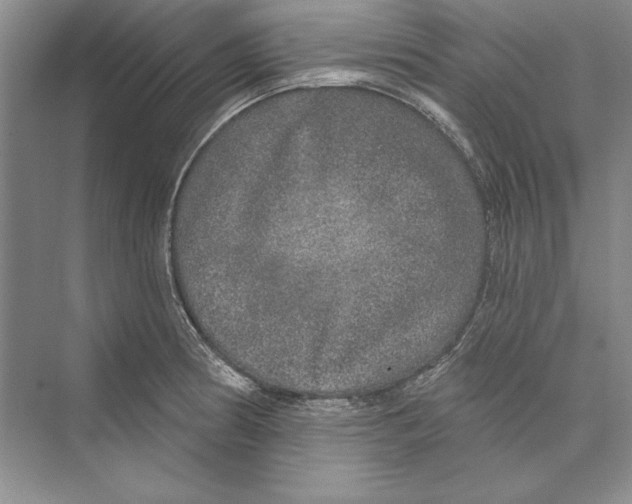 X0000072511186200608111646