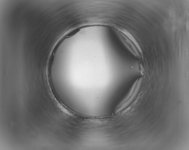 X0000072511197200608111646