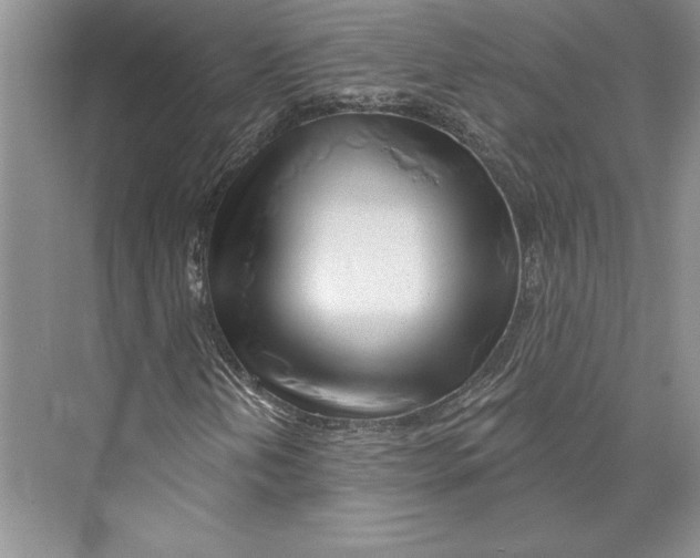 X0000072511202200608111645
