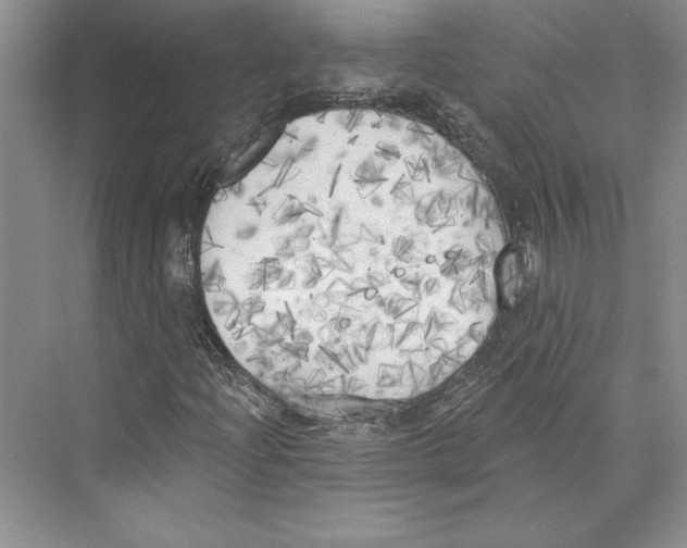 X0000072511204200608111645