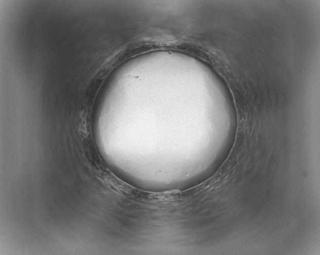 X0000072511205200608111645