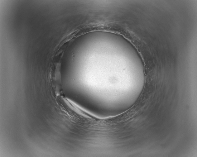 X0000072511206200608111645