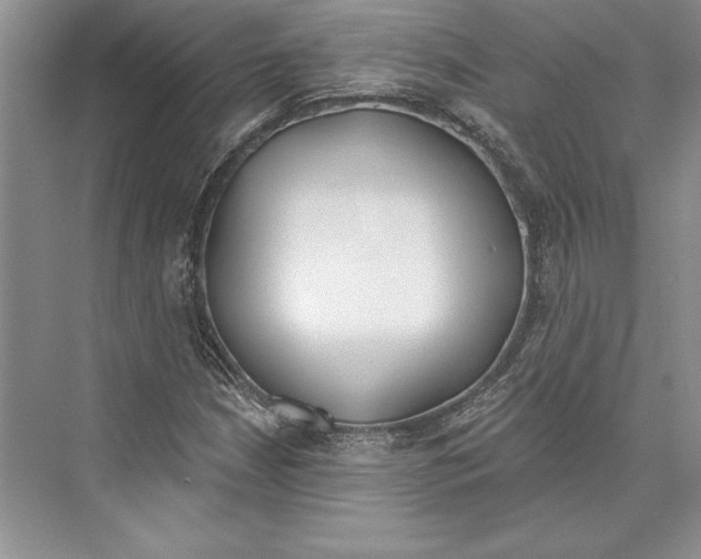 X0000072511210200608111645