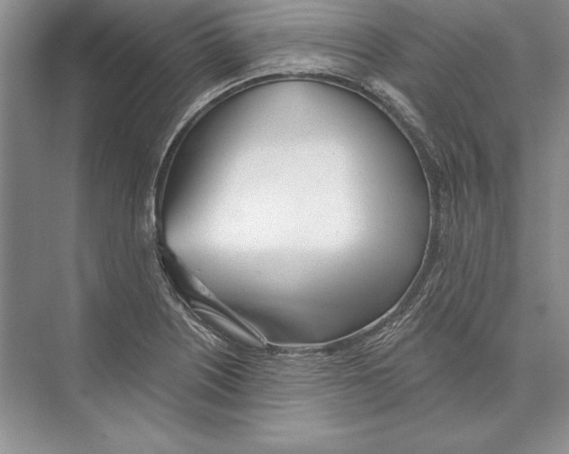 X0000072511226200608111645