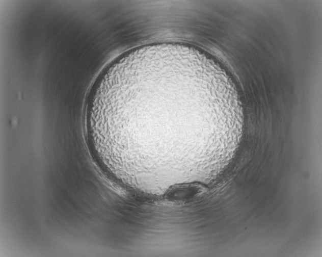 X0000072511227200608111645