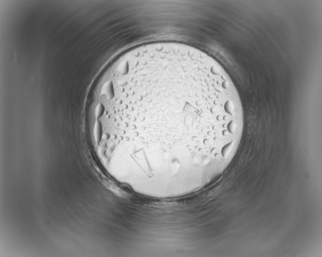 X0000072511236200608111646