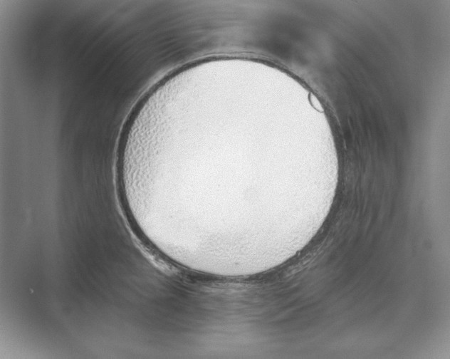 X0000072511237200608111646