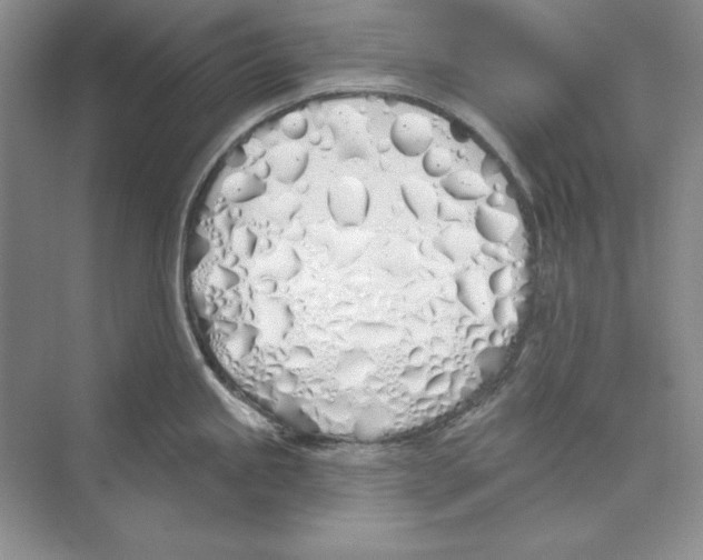 X0000072511245200608111646