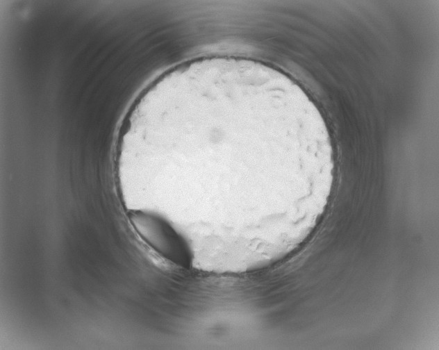 X0000072511248200608111646