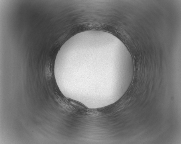 X0000072511250200608111645