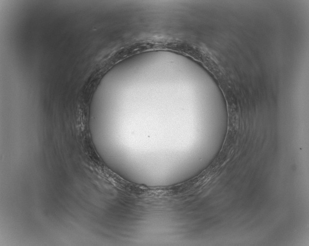 X0000072511253200608111645