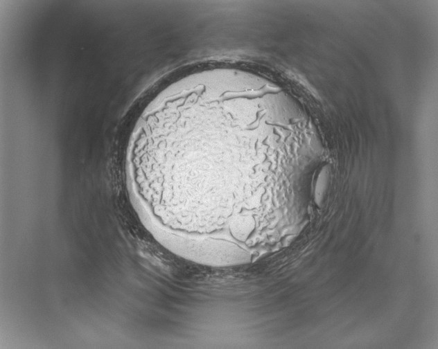 X0000072511256200608111645