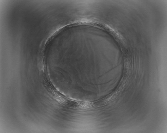 X0000072511262200608111645