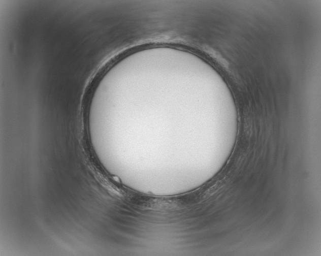 X0000072511270200608111645