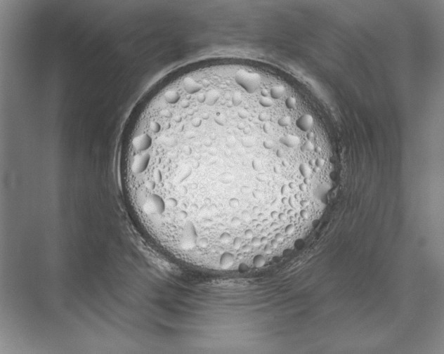 X0000072511272200608111645