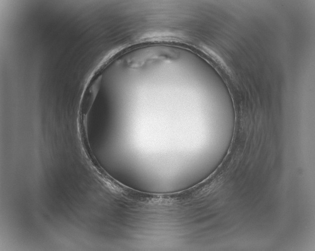 X0000072511277200608111645