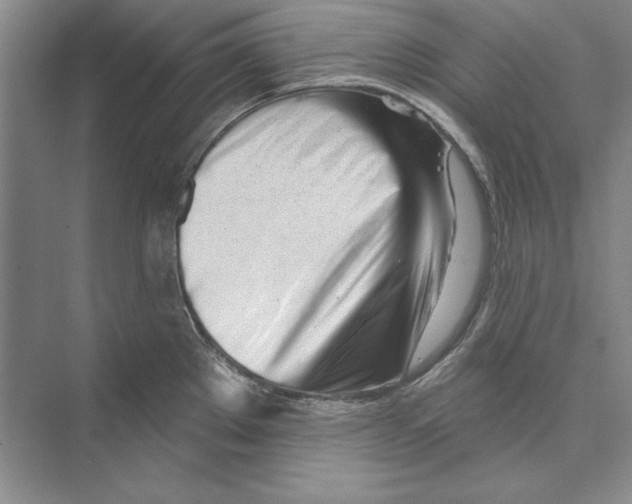 X0000072511289200608111644