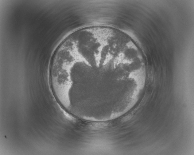 X0000072511294200608111644