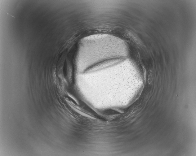 X0000072511298200608111643
